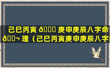 己巳丙寅 🐒 庚申庚辰八字命 🐬 理（己巳丙寅庚申庚辰八字命理解析）